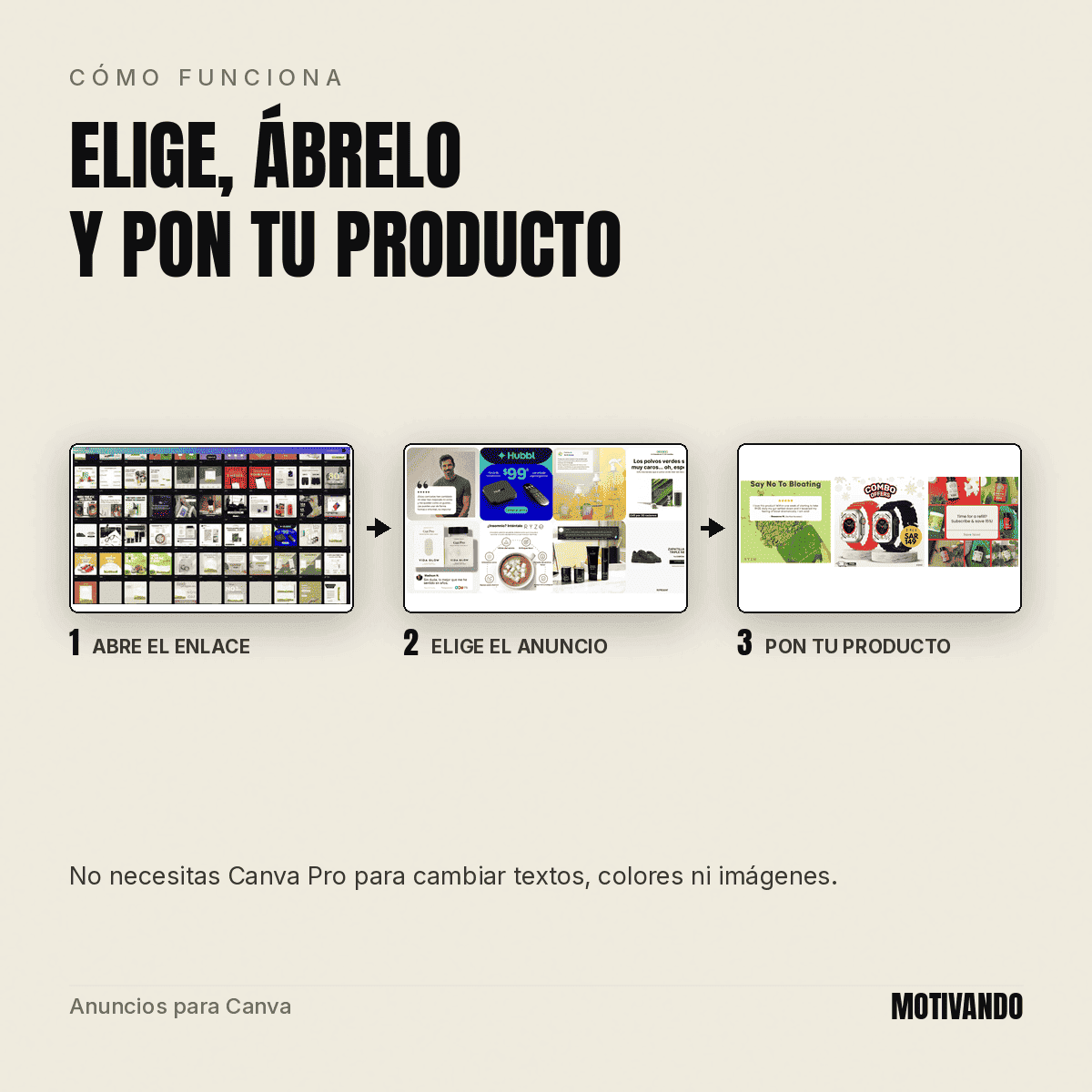 Video con plantillas de anuncios para Instagram y Facebook