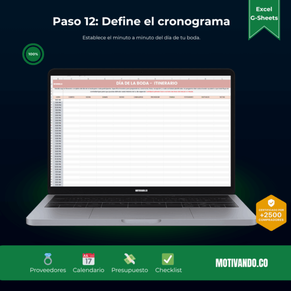 Wedding Planner Pro | Plantilla para Excel y Google Sheets | Organizador de Bodas con Presupuesto, Invitados y Cronograma